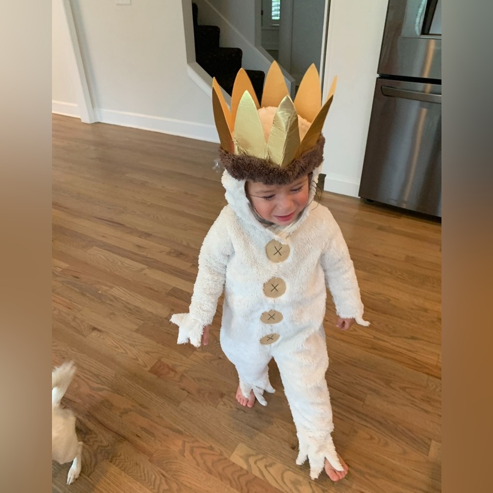 POTTERY BARN KIDS Halloween costume “Max from where the wild things are”